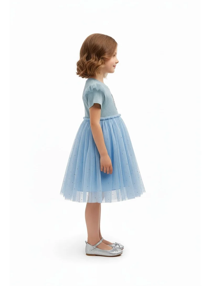 D'Daniela Ribbed Bodice Tulle Dress